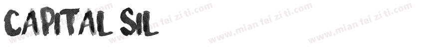 Capital Semibold字体转换